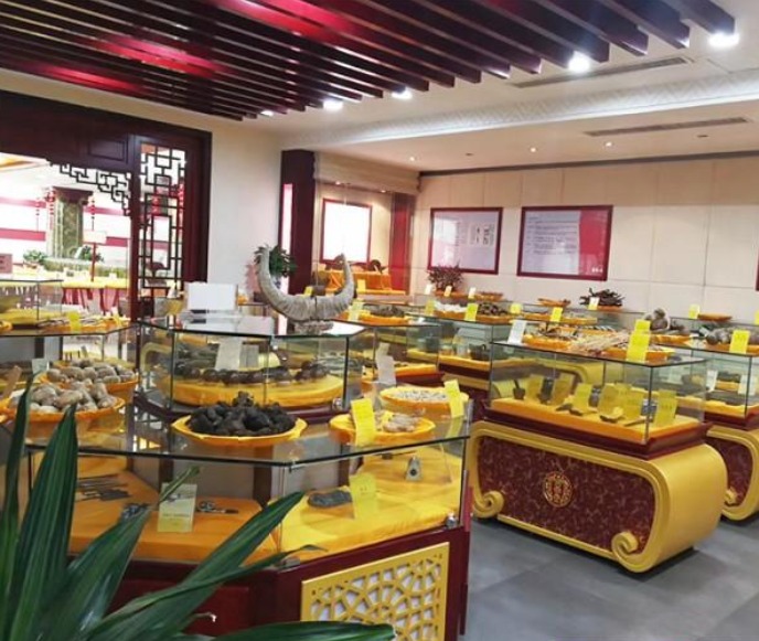郑州东区鹿茸展示台