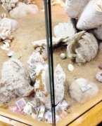 博物馆展柜 为何变身“许愿池”